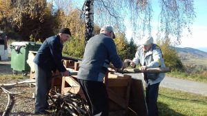 Seniorzy rąbią drzewo na ognisko