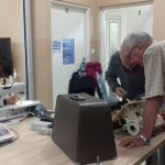 seniorka szyje, seniorzy naprawiają maszynę do szycia